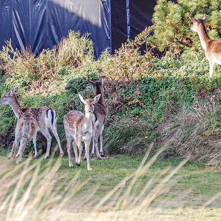 Casa vacanze Beautiful In With Kitchen *